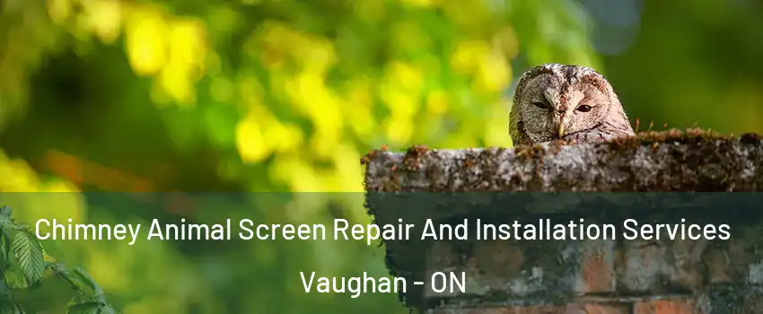  Chimney Animal Screen Repair And Installation Services Vaughan - ON