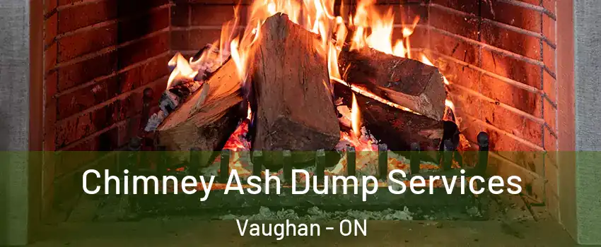  Chimney Ash Dump Services Vaughan - ON