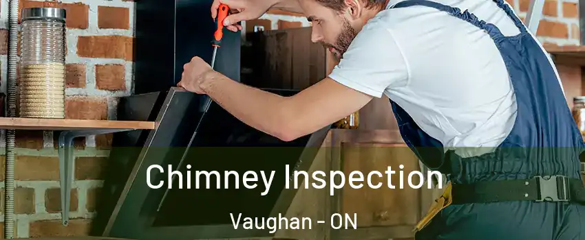  Chimney Inspection Vaughan - ON