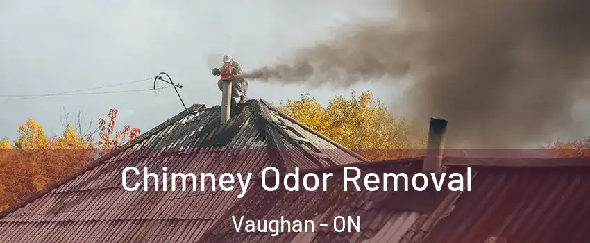  Chimney Odor Removal Vaughan - ON