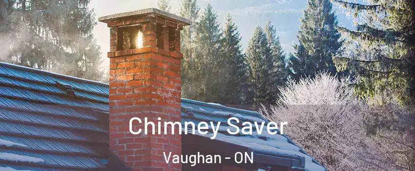  Chimney Saver Vaughan - ON