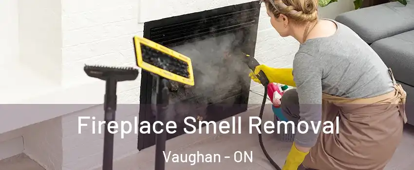  Fireplace Smell Removal Vaughan - ON