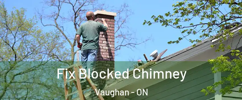  Fix Blocked Chimney Vaughan - ON