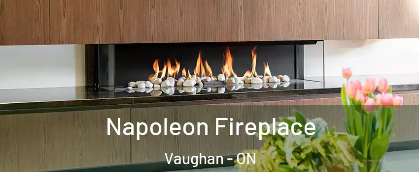  Napoleon Fireplace Vaughan - ON
